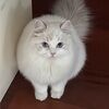 poppylaine28